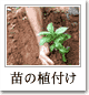 �c�̏ゔ��
