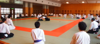 ���荇�C����@�t�͌m�ÁE���i�R��