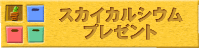 �X�J�C�J���V�E���@�v���[���g