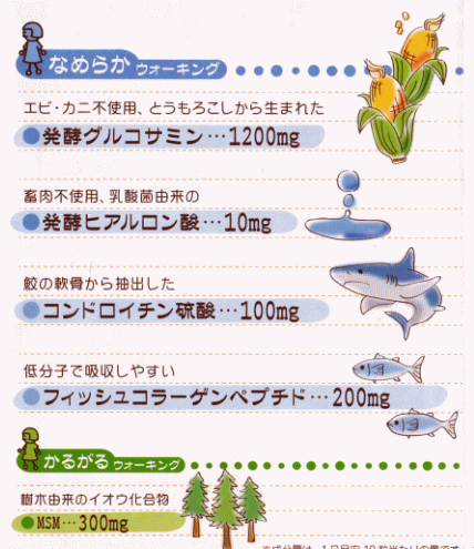 美しく歩く　グルコサミン　スカイフード 